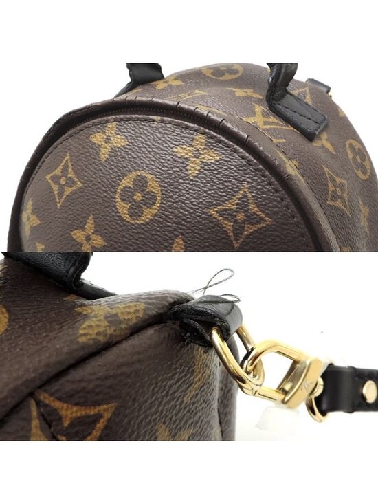 Louis Vuitton Rucksack Daypack